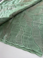 organza saree/ CW473