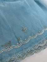 Korean Organza Saree/HW402