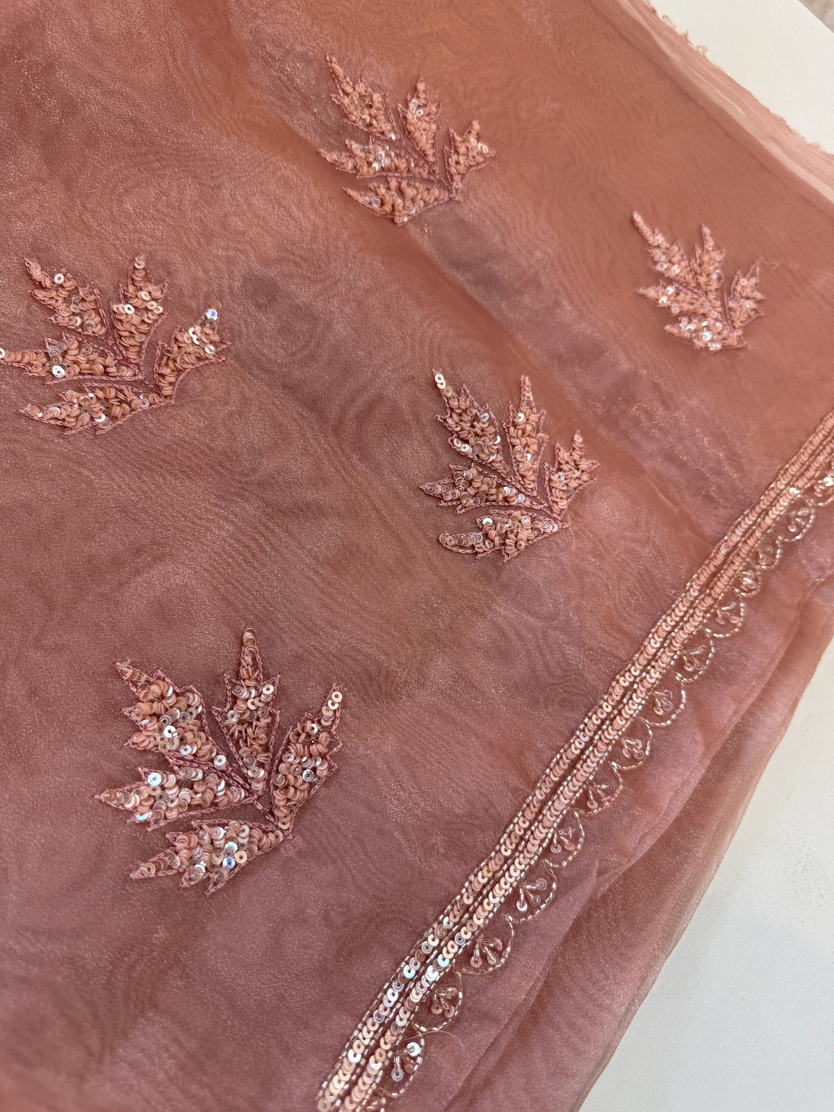 Glass Organza Saree/SP86