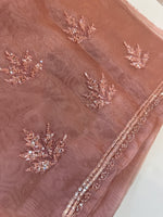 Glass Organza Saree/SP86