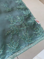 Glass Organza Saree/SP86