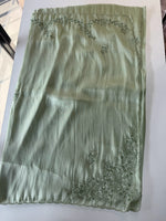 Tissue Organza Saree/ W319